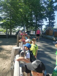 IMG_20260526_092829