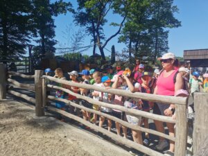 IMG_20260526_092844