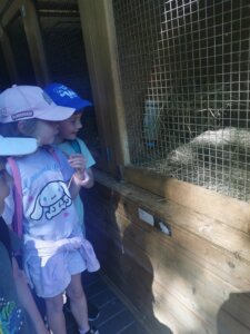 IMG_20260526_094647