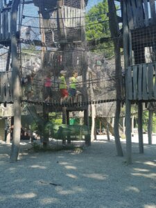 IMG_20260526_095528