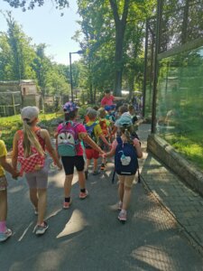 IMG_20260526_101304