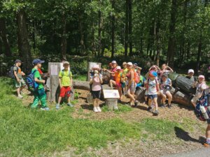 IMG_20260526_120939