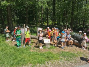 IMG_20260526_120940