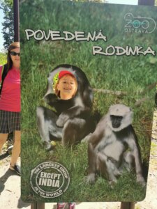 IMG_20260526_121316