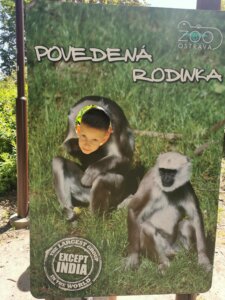 IMG_20260526_121328