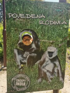 IMG_20260526_121331