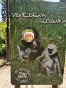 IMG_20260526_121337