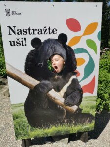 IMG_20260526_121749