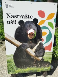 IMG_20260526_121755