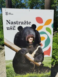 IMG_20260526_121801