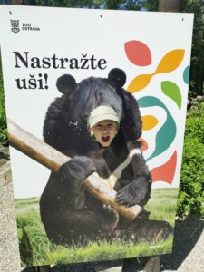 IMG_20260526_121810