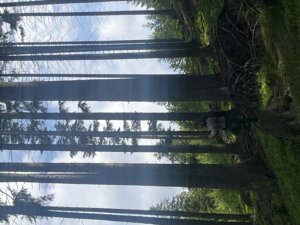 IMG_3421