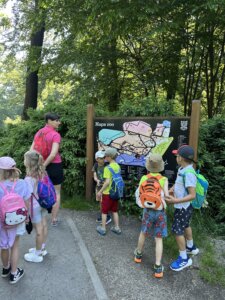 IMG_8817-1