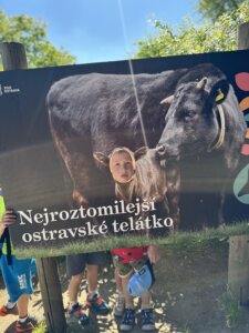 IMG_8832