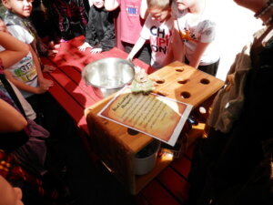 OLYMPUS DIGITAL CAMERA