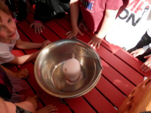 OLYMPUS DIGITAL CAMERA