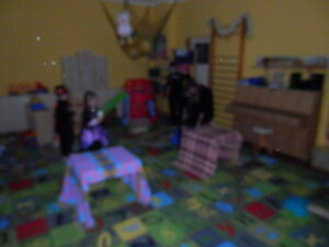 OLYMPUS DIGITAL CAMERA