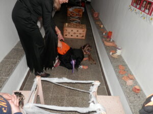 OLYMPUS DIGITAL CAMERA