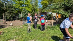 WhatsApp Image 2025-04-30 at 11.26.25