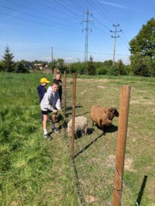 WhatsApp Image 2025-04-30 at 13.15.29 (1)