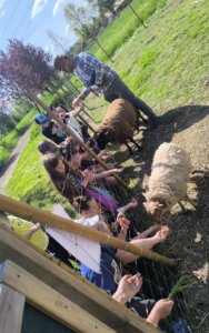 WhatsApp Image 2025-04-30 at 21.32.19