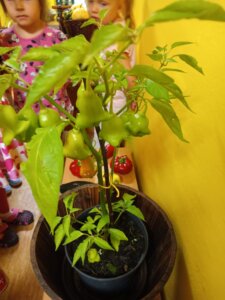 aa89efb0-eab2-4732-8208-404fd008eaa0